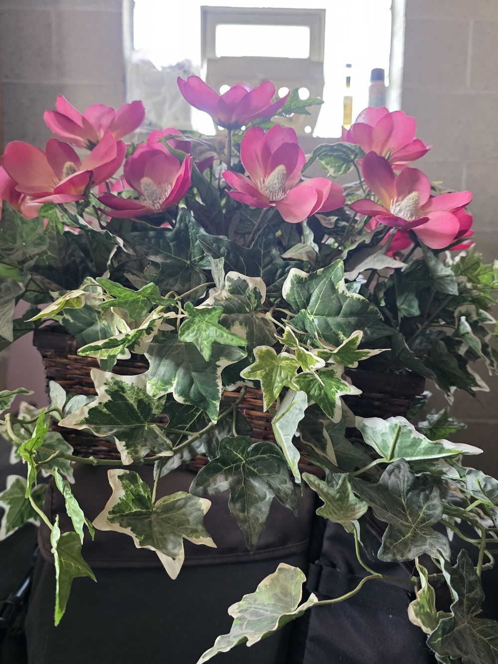 Artificial Pink Cyclamen Basket with Ivy - Home Accents